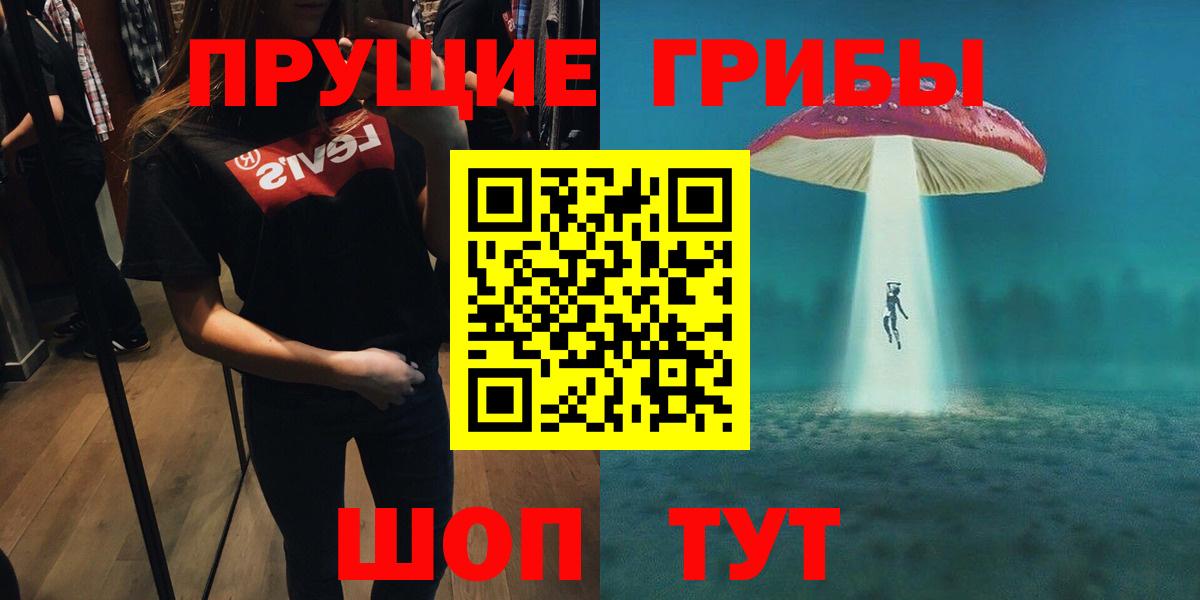 Кинель  Псилоцибиновые грибы GOLDEN TEACHER  Псилоцибиновые грибы Psilocybine cubensis  Вход с VPN 